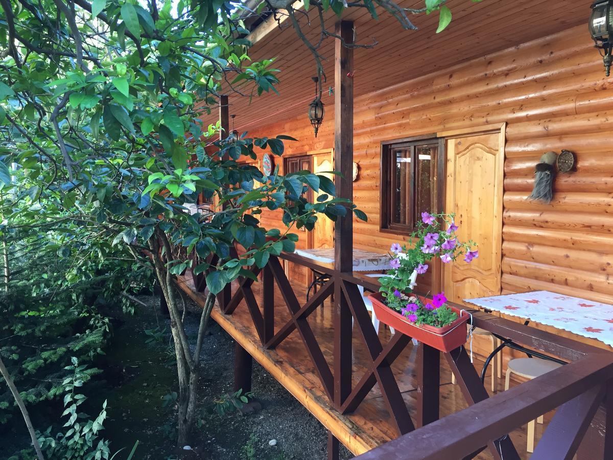Guest House Nana 가그라 외부 사진