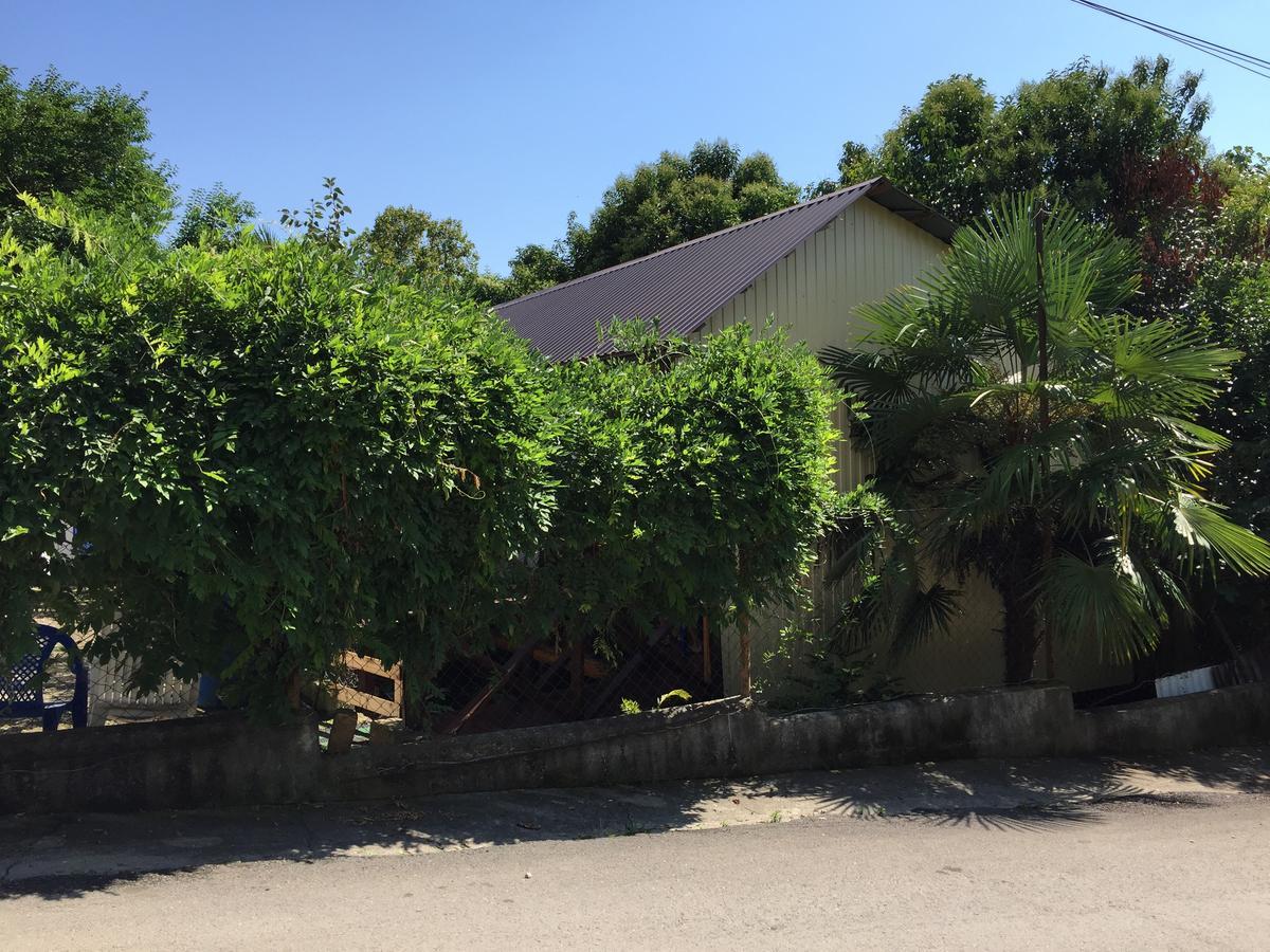Guest House Nana 가그라 외부 사진