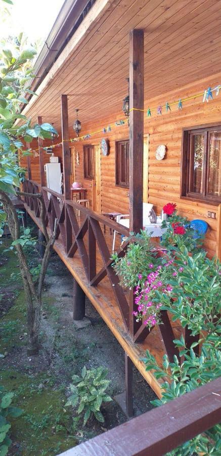 Guest House Nana 가그라 외부 사진